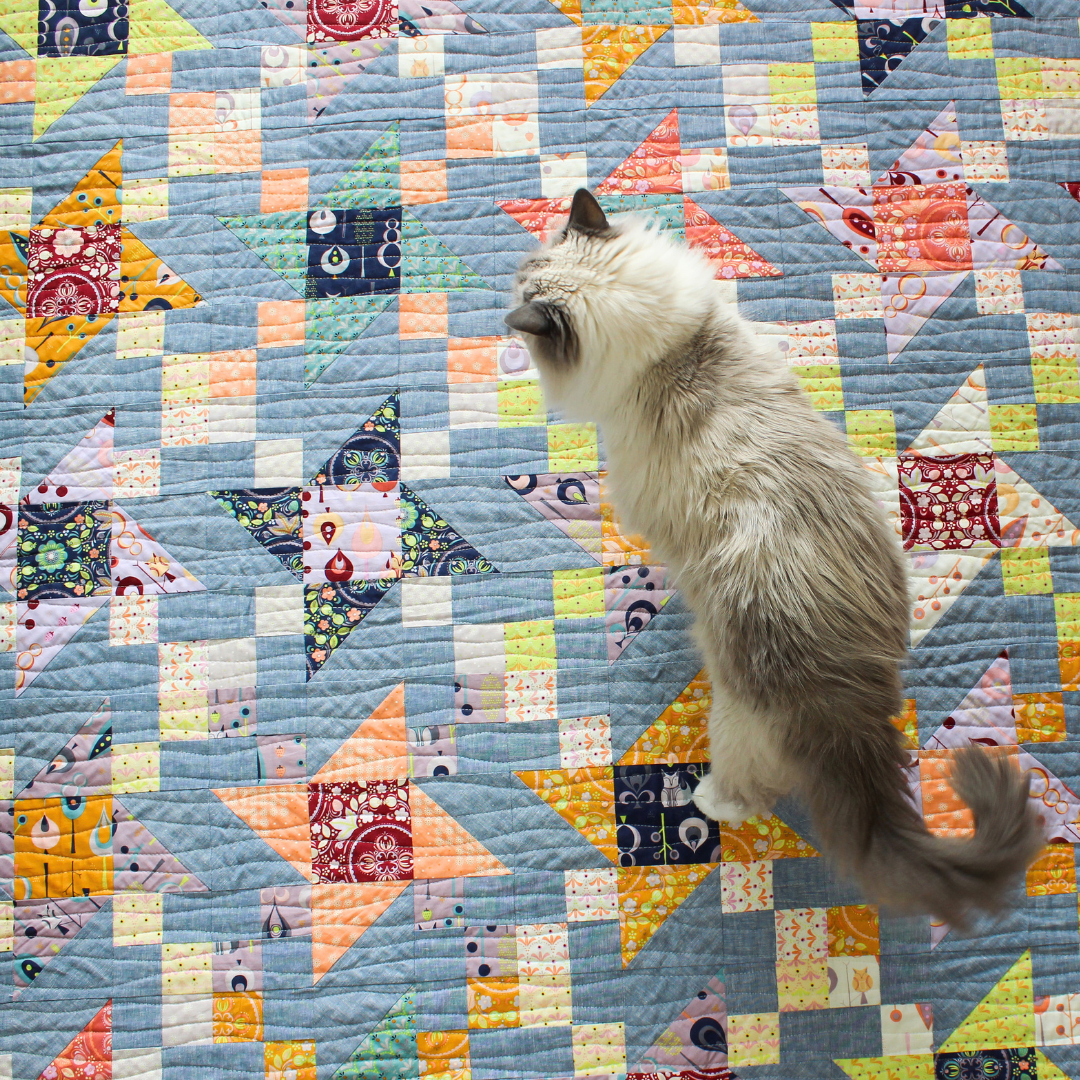 Irish Vortex Quilt Pattern (PDF) – Shannon Fraser Designs